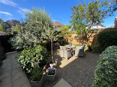 Picture 20